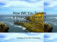 How Will You Survive a Changing Market in a Slowing Economy? PowerPoint PPT Presentation