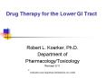 Drug Therapy for the Lower GI Tract PowerPoint PPT Presentation