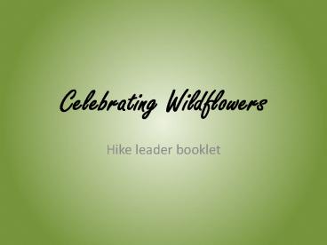 Celebrating Wildflowers
