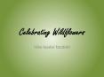 Celebrating Wildflowers PowerPoint PPT Presentation