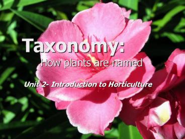 Taxonomy: How plants are named