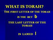 WHAT IS TORAH?