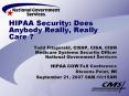 HIPAA Security: Does Anybody Really, Really Care ? PowerPoint PPT Presentation