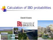 Calculation of IBD probabilities