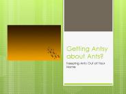 Getting Antsy About Ants?
