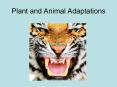 Plant and Animal Adaptations PowerPoint PPT Presentation