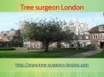 Tree surgery London PowerPoint PPT Presentation
