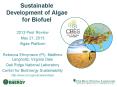 Sustainable Development of Algae for Biofuel PowerPoint PPT Presentation