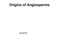 Origins of Angiosperms PowerPoint PPT Presentation