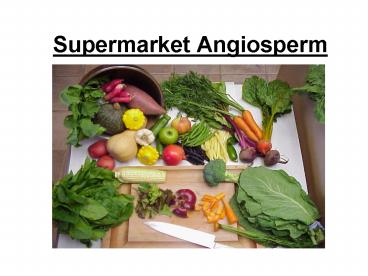 Supermarket Angiosperm