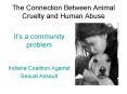The Connection Between Animal Cruelty and Human Abuse PowerPoint PPT Presentation