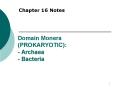 Domain Monera (PROKARYOTIC): - Archaea - Bacteria PowerPoint PPT Presentation