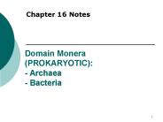 Domain Monera (PROKARYOTIC): - Archaea - Bacteria