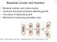 Bacterial Growth and Nutrition PowerPoint PPT Presentation