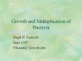 Growth and Multiplication of Bacteria PowerPoint PPT Presentation