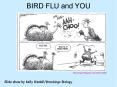 BIRD FLU and YOU PowerPoint PPT Presentation