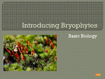 Introducing Bryophytes