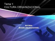 Tema 1: CULTURA ORGANIZACIONAL