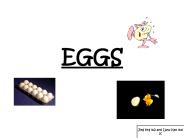 EGGS