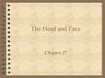The Head and Face PowerPoint PPT Presentation