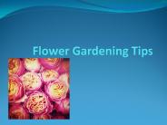 Flower gardening tips