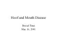 Hoof and Mouth Disease PowerPoint PPT Presentation
