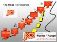 The Road To Fostering PowerPoint PPT Presentation