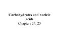 Carbohydrates and nucleic acids Chapters 24, 25 PowerPoint PPT Presentation
