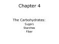 The Carbohydrates: PowerPoint PPT Presentation