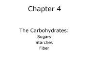 The Carbohydrates: