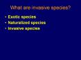 What are invasive species? PowerPoint PPT Presentation
