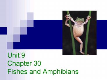 Unit 9 Chapter 30 Fishes and Amphibians