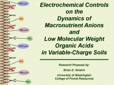 Electrochemical Controls