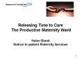Releasing Time to Care The Productive Maternity Ward  Helen Bland Matron In-patient Maternity Services PowerPoint PPT Presentation