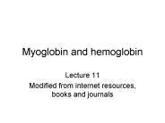 Myoglobin and hemoglobin