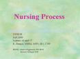 Nursing Process PowerPoint PPT Presentation