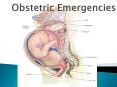 Obstetric Emergencies PowerPoint PPT Presentation