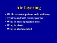 Air layering