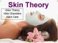 Skin Theory PowerPoint PPT Presentation