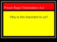 Prison Rape Elimination Act PowerPoint PPT Presentation
