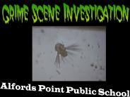 Alfords Point Public School