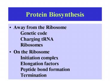 Protein Biosynthesis