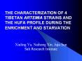 THE CHARACTERIZATION OF 4 TIBETAN ARTEMIA STRAINS AND THE HUFA PROFILE DURING THE ENRICHMENT AND STARVATION PowerPoint PPT Presentation