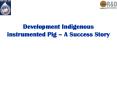 Development Indigenous instrumented Pig  PowerPoint PPT Presentation