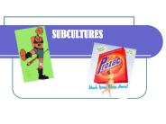 SUBCULTURES