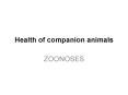 Health of companion animals PowerPoint PPT Presentation