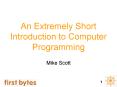 An Extremely Short Introduction to Computer Programming PowerPoint PPT Presentation