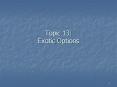 Topic 13: Exotic Options PowerPoint PPT Presentation