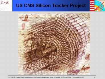 US CMS Silicon Tracker Project