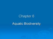 Aquatic Biodiversity